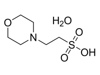 2-(N-嗎啉）乙磺酸一水合物，99% 