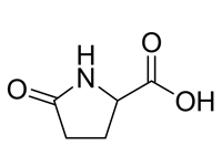 DL-焦谷氨酸，BR，98% 