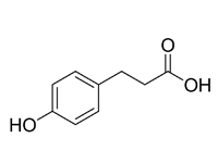 對羥基苯丙酸，98% 