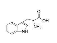 DL-色氨酸，99%（HPLC） 