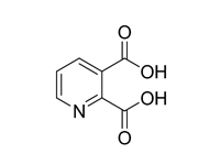 2，3-吡啶二羧酸, 99%（GC） 